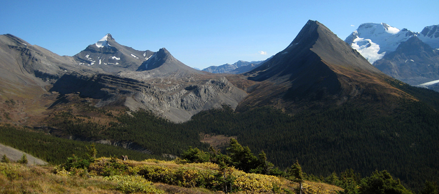 Nigel Peak, Wilcox Pass and Mt. Wilcox from Tangle Ridge