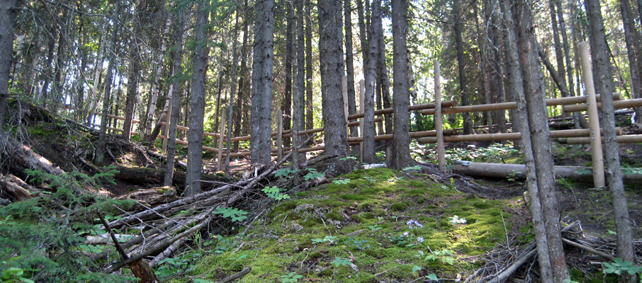 The Dreaded Switchbacks