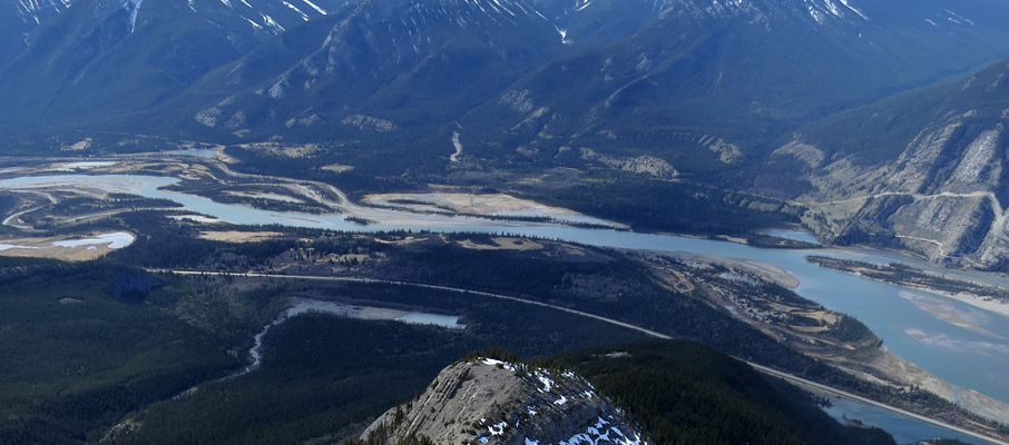 The Athabasca River from Cinquefoil Mountain