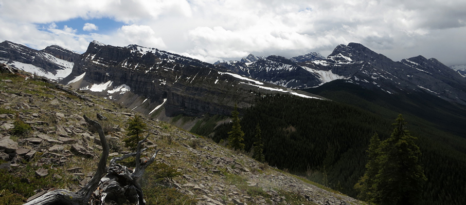 Red Ridge and Mt. Buller