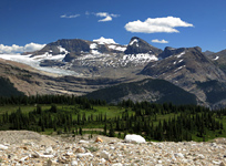 The Daly Glacier, Mt. Daly and Mt. Niles from the Iceline Trail