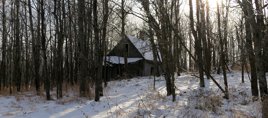 An Abandoned Farmhouse